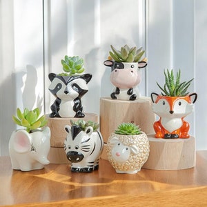 May include: Six small ceramic planters shaped like animals, including a cow, fox, zebra, elephant, raccoon, and sheep. Each planter has a small succulent plant growing inside.
