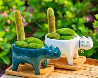 Yizzwtc Vasi a Forma di Gatto, Vasi Ceramica per Piante, Piccolo Fioriera in Ceramica da Interno vaso per Piante Succulente per Fiori, Piante Grasse, Cactus, Decorazione della Casa (Bianco