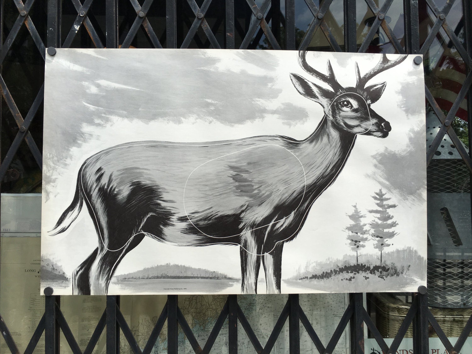 Vintage Archery Shooting Target of A Deer Etsy