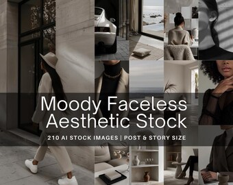 Aesthetic Faceless Marketing Stock Photo Collection MRR PLR Rights Master Resell Rights Boss Lady Business Photo Boss Babe Images Instagram