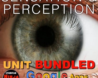 Sensation and Perception Unit: PPT, Worksheets, Guided Notes, Kahoot Review, Test + GoogleApps