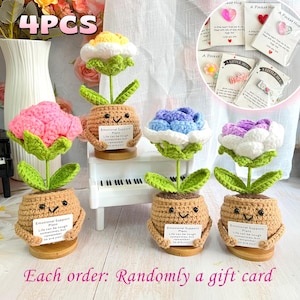 Handgemachte häkeln Rose, Pflanze zur emotionalen Unterstützung, Geschenke für psychische Gesundheit für sie, Desktop Decor, häkeln Blume Pflanze, Farbverlauf Rose Pflanze