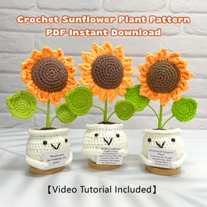 Schema per vaso a forma di girasole all'uncinetto: video tutorial per principianti e download in PDF, regalo per la festa della mamma