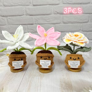 Crochet Peony,Crochet Lily,Crochet Flower Pot Plant,Emotional Support Gift,Romantic Flowers Gifts For Girls,Desk Decor