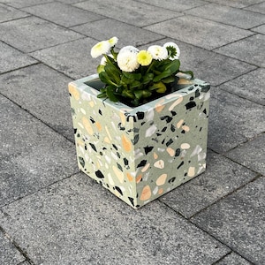 Könnte beinhalten: Ein quadratischer Terrazzopflanzer mit grünem Sockel und weißen, schwarzen und orangefarbenen Flecken. Der Pflanzer ist mit einer kleinen weißen Blütenpflanze gefüllt.