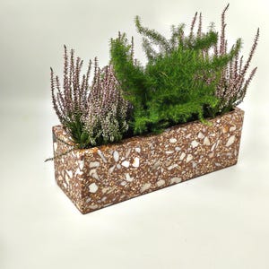 Könnte beinhalten: Ein rechteckiger Pflanzkübel mit braun-weißem Terrazzo-Finish, der mehrere grüne Farne und violette Heidekrautpflanzen enthält. Der Pflanzkübel hat eine glatte, gesprenkelte Oberfläche mit verschieden großen weißen Steinsplittern.