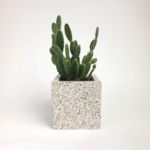 Handmade Terrazzo Planter – Modern Square Pot for Cactus & Succulents | Minimalist Indoor Decor | Unique Concrete Plant Pot