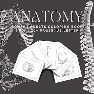 Könnte beinhalten: Ein Schwarzweiß-Malbuch mit dem Titel "Anatomie: Knochen | Malbuch für Erwachsene | 1 PDF | 20+ Seiten | US Letter". Das Cover zeigt Illustrationen des menschlichen Skeletts, darunter Brustkorb, Becken und Wirbelsäule.