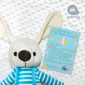 PRESENTE DE PÁSCOA PERSONALIZADO para crianças Pelúcia de coelho azul Nome personalizado Carta de coelho Surpresa Presente de Natal Menino Boneca infantil fofa