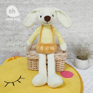 Conejito de peluche con letras chinas personalizadas, conejo azul y rojo con nombre en mandarín personalizado, amuleto de zanahoria de peluche, regalo para niños y niñas