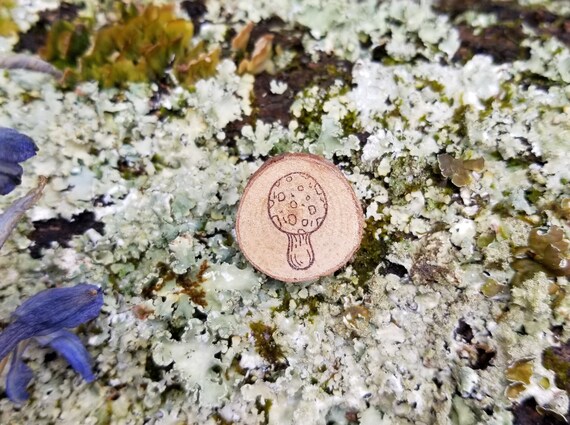 Mushroom Pin - Natural Wood Brooch - Botanical Art Pin - Gifts for Nature Lovers - Mycology Accessories - Handmade Stamped Jewelry - Fungi