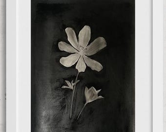Original Charcoal Flower Drawing – Hand Drawn on Fabriano Paper (41x30cm)