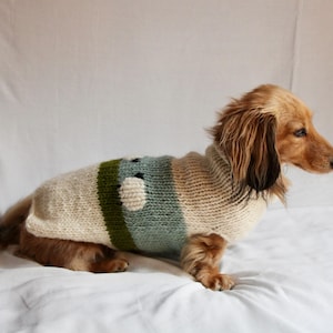 Hand-Knitted Dachshund Jumper: 100% Wool Dog Clothing