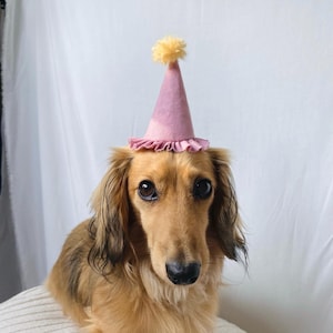 Birthday hat for dogs, party hat for dogs/cats, celebration hat, tiny party hat, Pom Pom hat for dogs