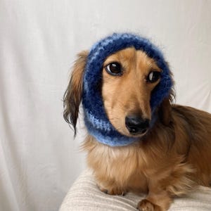 Pode incluir: Um dachshund de pelo longo com pelagem castanha usa um capuz de malha felpuda. O capuz apresenta um gradiente de tons azuis, transitando de um azul-marinho profundo no topo para um tom de azul-celeste mais claro na área do pescoço.