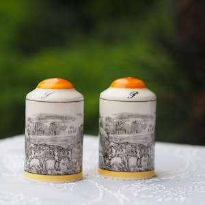 Beautiful and very rare Villeroy & Boch Audun Ferme Salt and Pepper pots shakers - Salt And pepper set