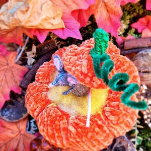Könnte beinhalten: Ein orangefarbener Plüschkürbis mit gelber Mitte und einer kleinen grauen Mausfigur. Der Kürbis hat einen grünen Pfeifenputzerstiel und ist von bunten Herbstblättern umgeben.