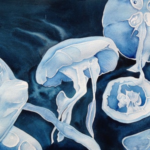 Jellies - 20" x 16" Signed Giclee Print