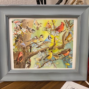Acquerello originale incorniciato "Uccelli sul ramo", 8x10 (non una stampa)