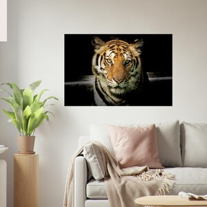 Animal Wall Art