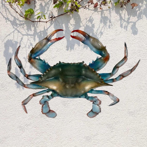 Custom Crab Metal Sign, Beach Crab Sign, Personalized Crab Name Sign, Crab Decor, Crab Lover Gift, Beach House Sign, Beach House Decor