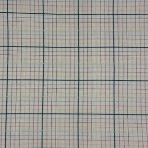 Può includere: Primo piano di un tessuto con un motivo a griglia. Lo sfondo è bianco sporco, con una griglia di linee blu scuro. All'interno della griglia ci sono linee più piccole in rosso, giallo e blu, che creano un effetto a quadri. Il tessuto sembra essere di cotone o lino.