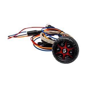 Bluetooth Controller and Receiver- BTR17 Cerwin Vega