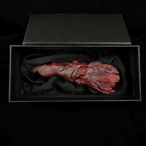 Peut inclure: Une sculpture rouge, charnue et organique dans une boîte noire. La sculpture a la forme d'une main avec de longs doigts fins.