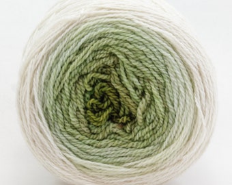 Skinny Scrumpet Merino/Cashmere/Nylon Gradient Yarn- Dogwood