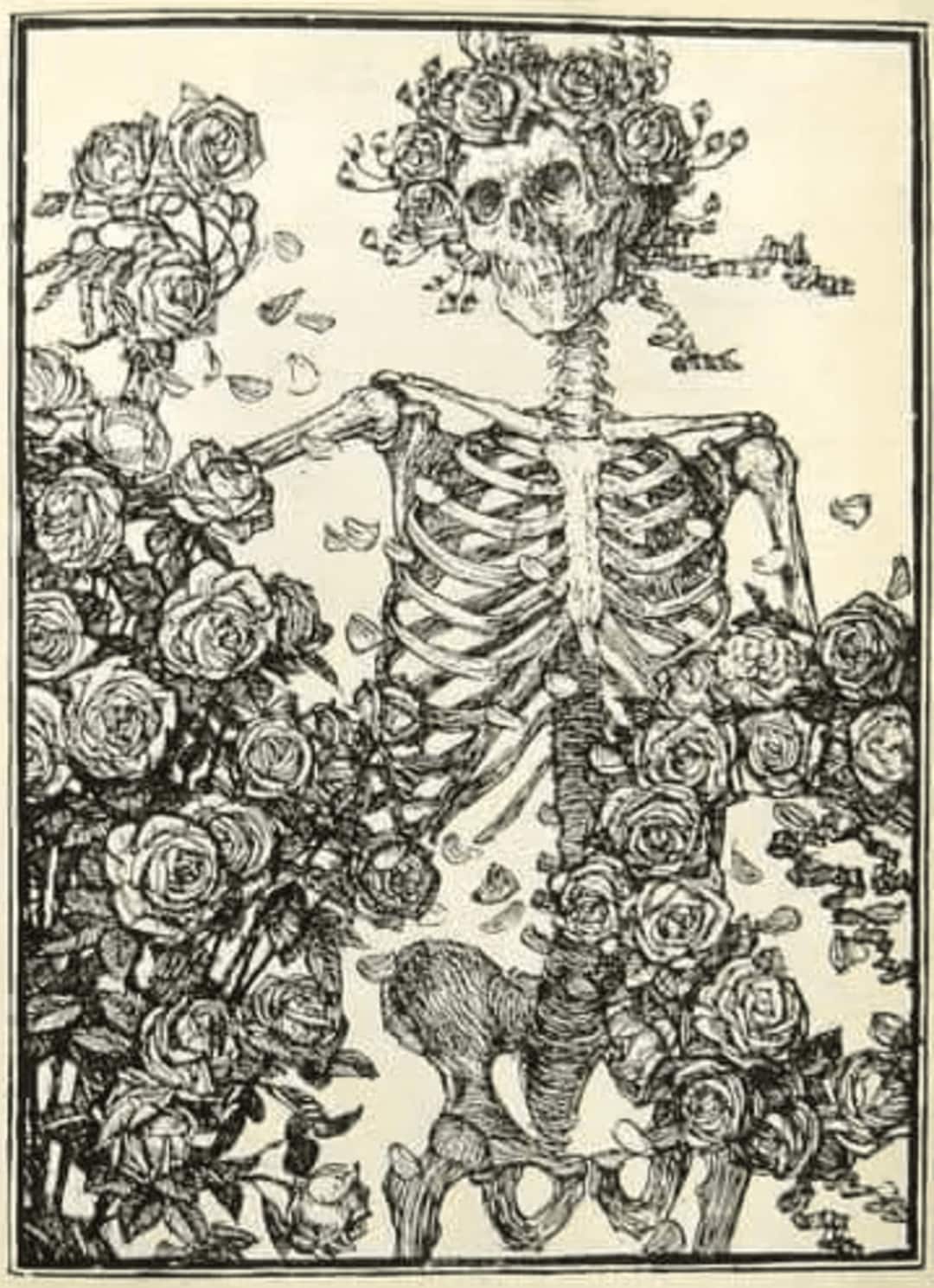 Skeleton With Roses - Edmund Sullivan (1913). - Etsy