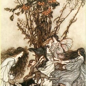 Dancey Fairies - Arthur Rackham (1906)