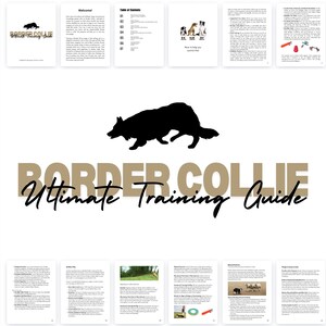 May include: A guide to training Border Collies. The cover features a black silhouette of a Border Collie running, with the text "Border Collie Ultimate Training Guide" in a brown font.