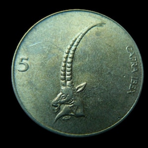 Vintage coin  Slovenian 5 Tolars