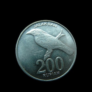Vintage coin INDONESIA ~ 200 Rupiah