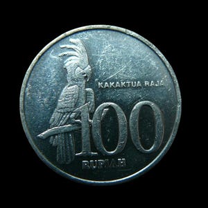 Vintage coin 100 Rupiah Indonesia 2001