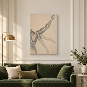 May include: A vertical wall art print featuring a vintage anatomical illustration of a human arm and shoulder skeletal structure in motion, rendered in muted blue and beige tones on a textured, aged paper background.