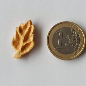 Puede incluir: Una pequeña hoja de madera tallada con vetas detalladas, junto a una moneda de un euro. La hoja es de color marrón claro, y la moneda es dorada con el número 1 y la palabra "EURO" visible.