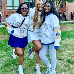 May include: Three light gray hooded sweatshirts featuring the text North Carolina A&T and Aggies with a circular university seal graphic on the front and a bulldog mascot on the sleeve. The sweatshirts are paired with a blue pleated skirt and gray leggings.