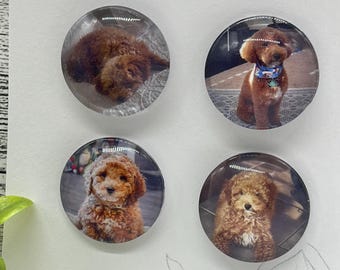 Custom Pet Photo Magnet Set: Glass Keepsake (Set of 4)