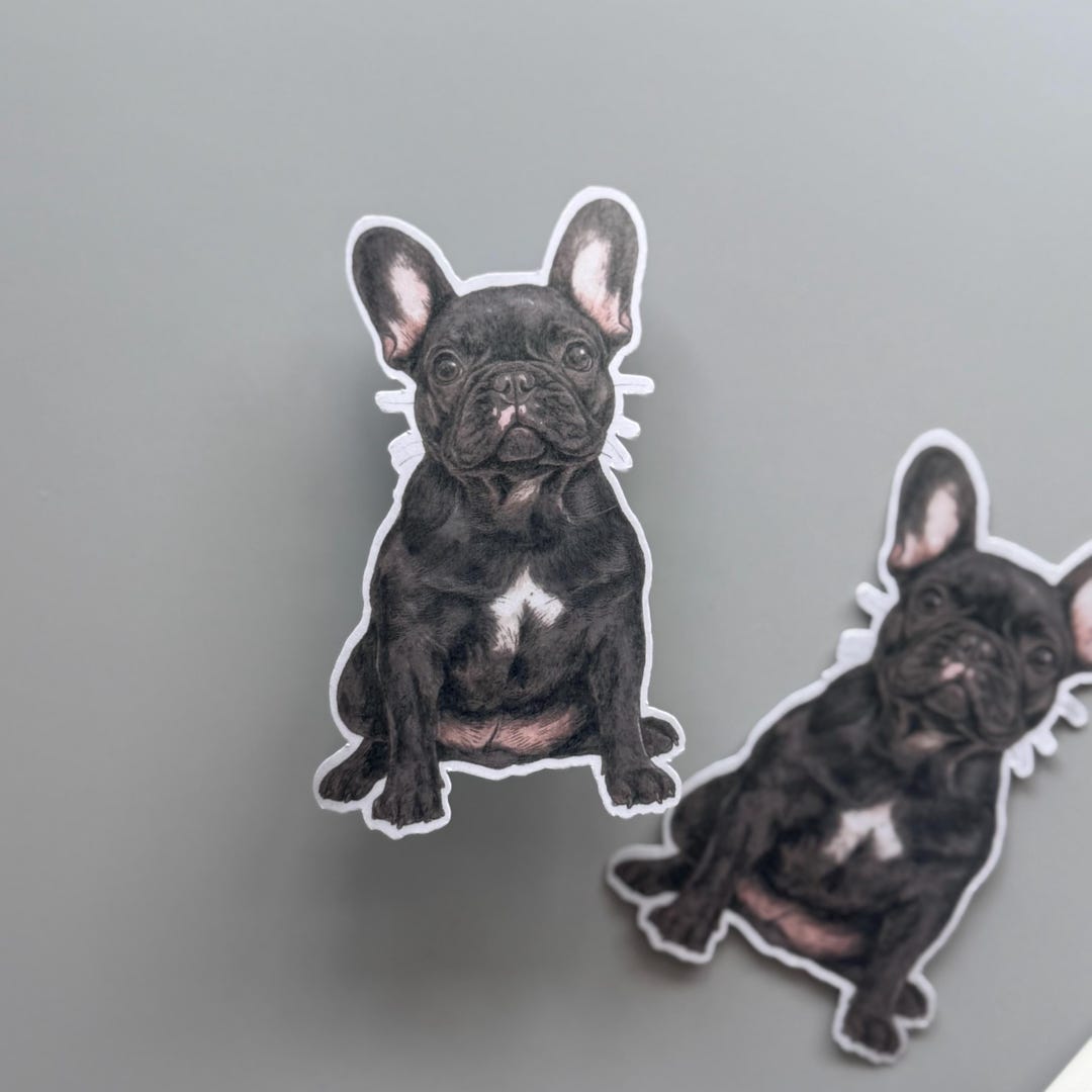 French Bull Dog Sticker | Waterproof Sticker, Decal - Etsy