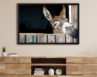 Funny Donkey Canvas Print Animals Print, Fine Art Photography,Art Canvas Poster Wall Decor, Canvas Wall Art Home Decor