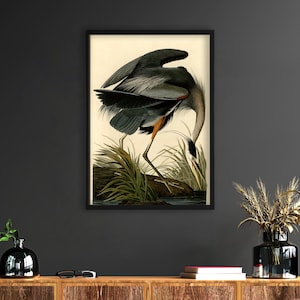 Airone azzurro, la migliore stampa retrò di uccelli, il miglior poster vintage di uccelli, Airone azzurro, poster di viaggio, sport, arte murale per la casa, regalo per lui, regalo per papà