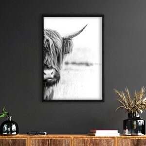 Cow Black And White,Highland Cow Print,Cow Wall Art,  Rustic Home Decor, Cattle Photography, Animal Black White Poster,Farm House Wall Decor