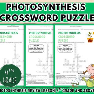 Palavras Cruzadas sobre Fotossíntese | Folha de Atividades de Biologia para o Ensino Fundamental (Download Digital)