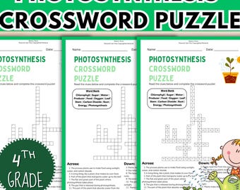 Photosynthesis Crossword Puzzle | Science Biology Worksheet for Elementary (Digital Download)