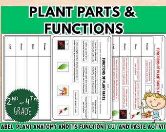 Parts of the Plant and Functions Worksheet Cut and Paste Label Printable Science Montessori Match Biology Science Activity Homeschool STEM