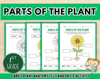 Plant Parts Worksheet: Grade K-2 Science, Cut & Paste (Printable PDF)