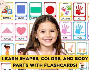 Color Shapes Body Parts  Flash Cards Montessori Preschool Activity Homeschool Lesson Toddler Game Early Education Sorting Set Quiet Time