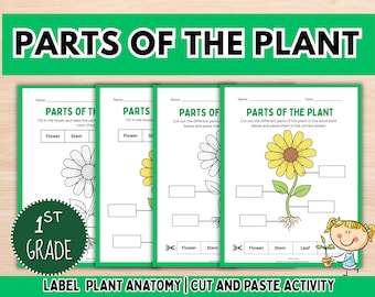 Parts of the Plant Worksheet Printable Science Worksheets for Kids Biology K-2 Science Activity Homeschool Classroom STEM Resource