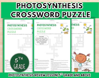 Photosynthesis Crossword Puzzle: Grade 5 Science Worksheet (Digital Download)
